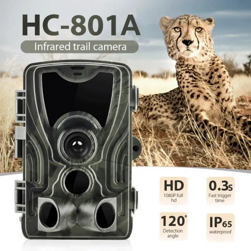 IP65 Камера дикой природы Фотоловушки Охотничья камера Камера Активируемый движением ИК-датчик Охотничьи камеры Hc801a Наружное ночное видение Изображение 5